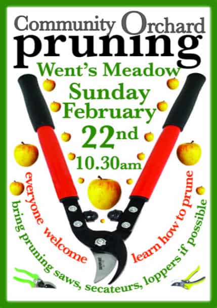 Poster for a community orchard pruning event with loppers, apples, and event details on a white background.