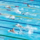 people in swimming pool